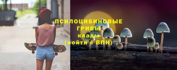 тгк Вяземский