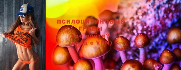 тгк Вяземский