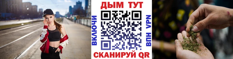 Конопля Amnesia  Злынка 